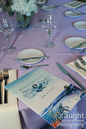 006 Aquarium of the Pacific Blue Whale Gala and After Party 2025
