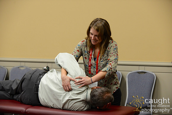739 OMED 2017 Sessions
