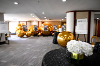 018 Imagine Gala 2024