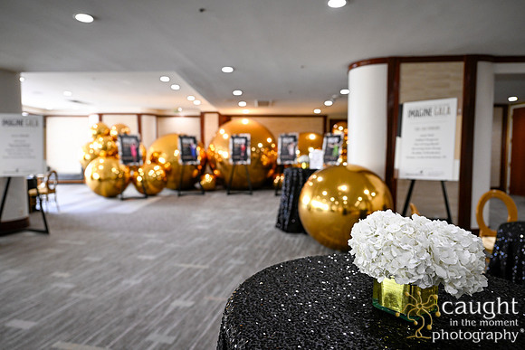 018 Imagine Gala 2024