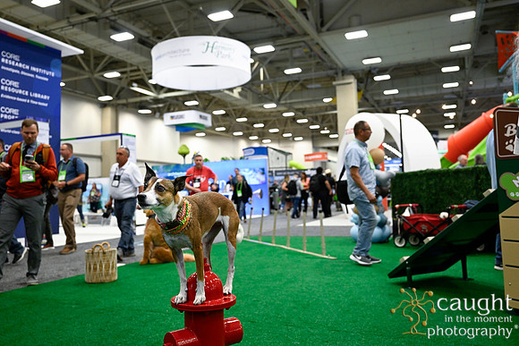 1150 NRPA Conference 2023 Dallas