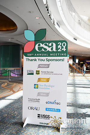 028 ESA 2024 in Long Beach