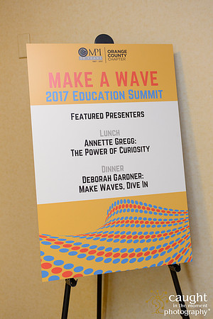 031 MPI OC Education Summit 2017