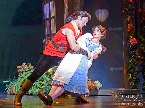 Beauty and the Beast