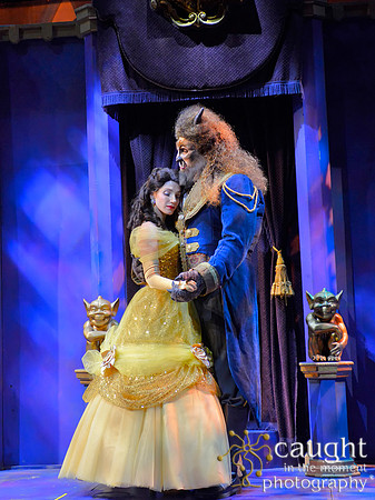 Beauty and the Beast