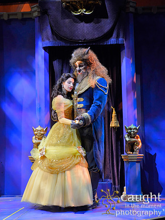Beauty and the Beast
