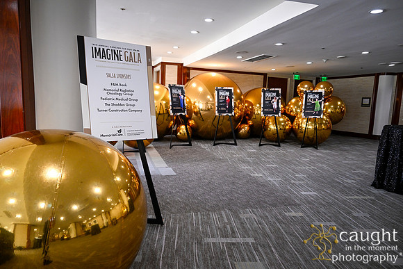 019 Imagine Gala 2024