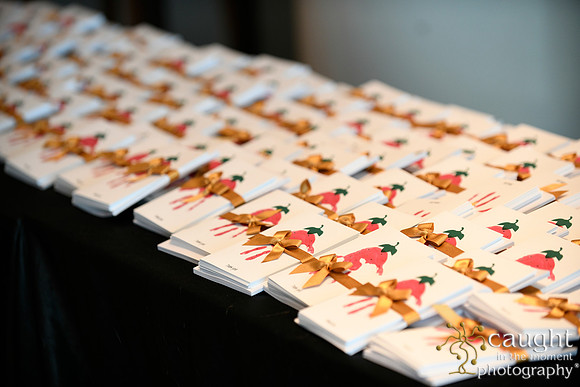 017 Memorial Medical Center Foundation Appreciation Luncheon 2023