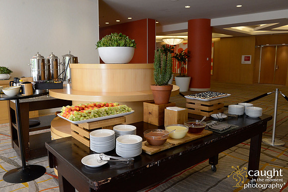 007 MPIOC November Workshop & Luncheon at Hotel Irvine