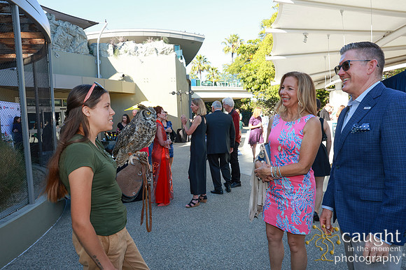 063 Aquarium of the Pacific Blue Whale Gala and After Party 2025