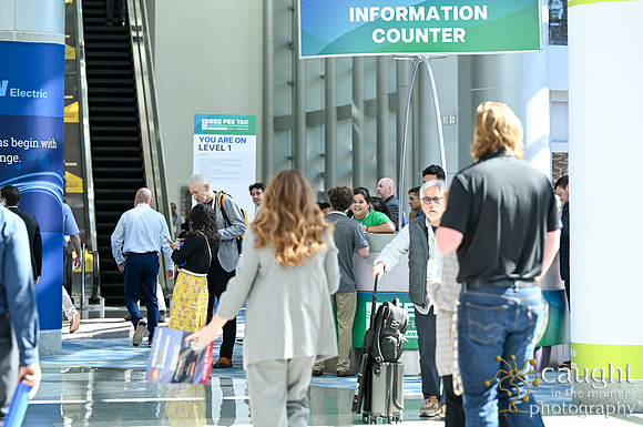 875 IEEE PES TandD Anaheim 2024