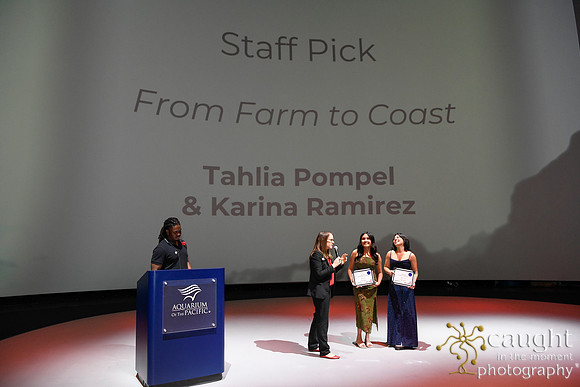 130 High Tide Film Festival 2024