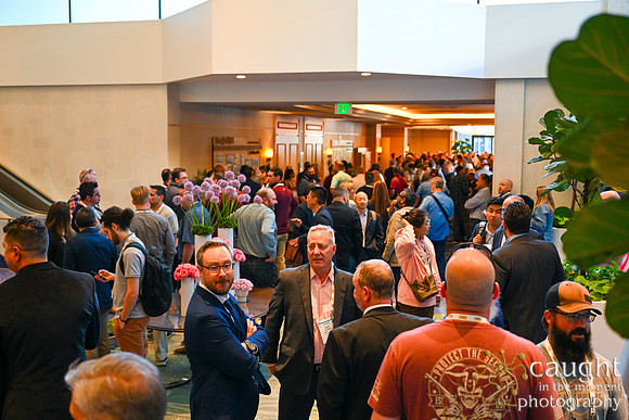 135 IEEE PES TandD Anaheim 2024