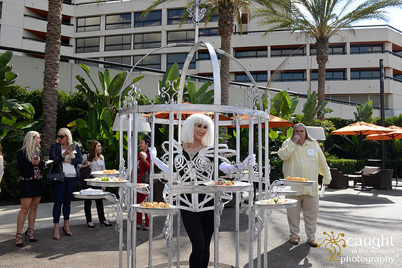 068 MPIOC November Workshop & Luncheon at Hotel Irvine