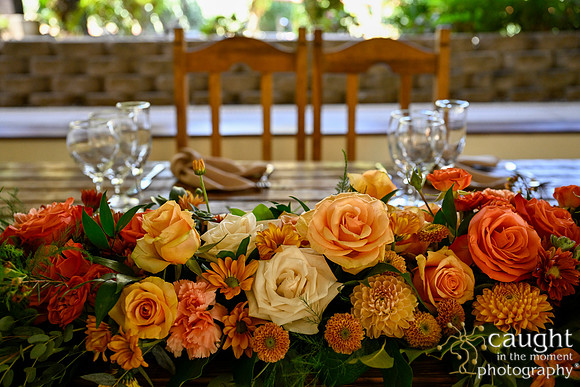 860 Chompff Wedding at Los Willows