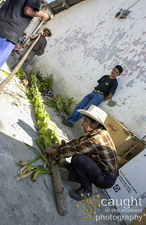 056  Guatemala Spring 2003