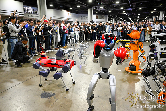 1417 IEEE ICRA 2025 Atlanta