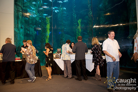 016 Sea Fare 2016