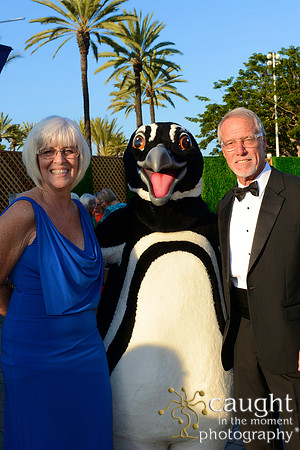 117 Aquarium of the Pacific Blue Whale Gala 2015
