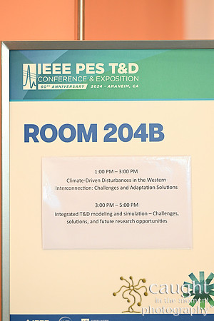 1331 IEEE PES TandD Anaheim 2024