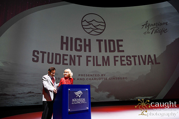090 High Tide Film Festival 2024