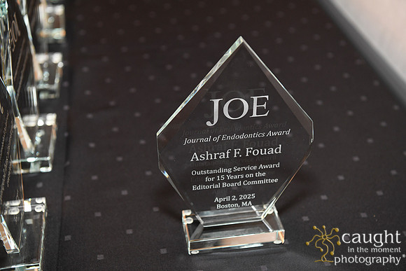 880 AAE 2025 in Boston - JOE Awards