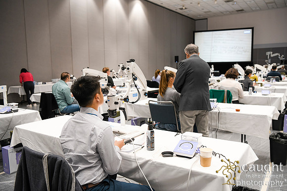 574 AAE 2024 in Los Angeles - Hand-On Sessions