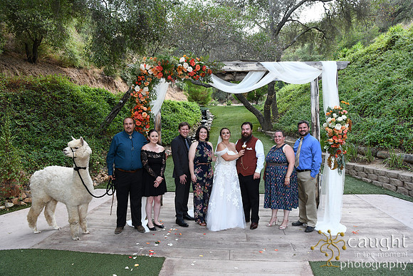 784 Chompff Wedding at Los Willows