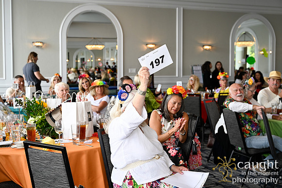 198 Steel Magnolias Copa Havana 2025