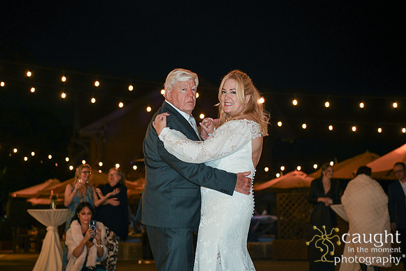 030 Brasche-Packman Wedding at Long Beach Museum of Art - Highlights