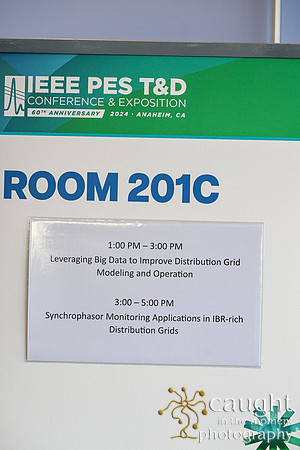 1343 IEEE PES TandD Anaheim 2024