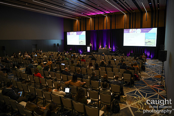 201 ACVP 2024 in Seattle