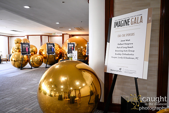 024 Imagine Gala 2024