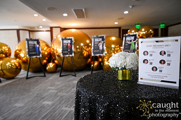 023 Imagine Gala 2024