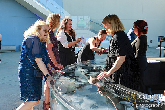 021 Aquarium of the Pacific Blue Whale Gala and After Party 2025