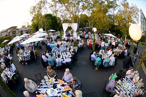 104 MTW Broadway in the Park 2014
