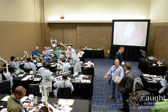 AAE 2017 Press_DSC8905.JPG
