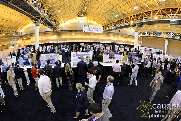 AAE 2017 Press_DSC0050.JPG