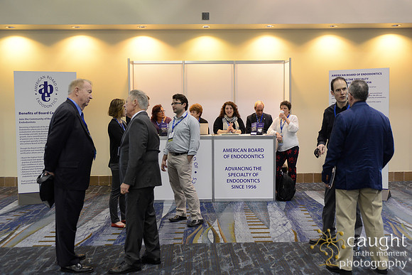 AAE 2017 Press_DSC1478.JPG