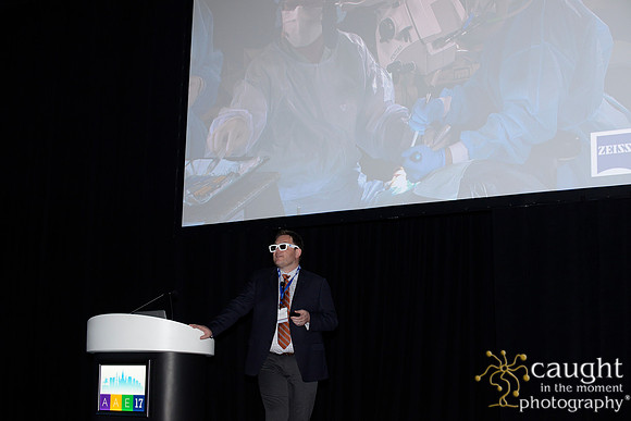 AAE 2017 Press_DSC8812.JPG