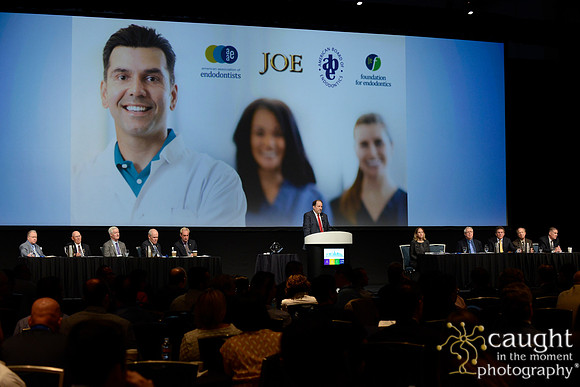 AAE 2017 Press_DSC1299.JPG