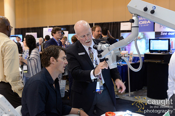 AAE 2017 Press_DSC1846.JPG
