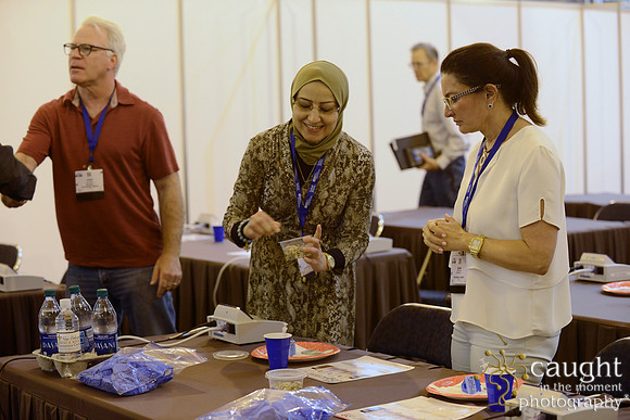 AAE 2017 Press_DSC1617.JPG