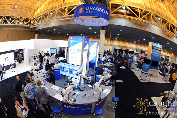 AAE 2017 Press_DSC1948.JPG