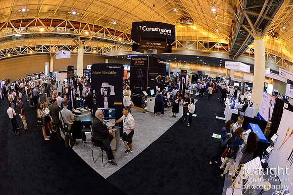 AAE 2017 Press_DSC1939.JPG