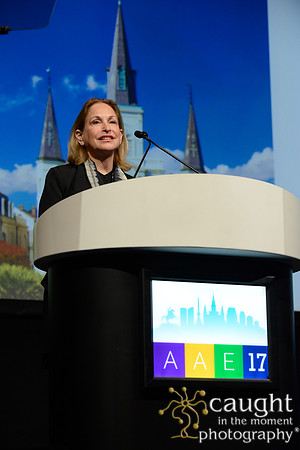 AAE 2017 Press_DSC9771.JPG