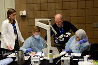 AAE 2017 Press_DSC8869.JPG