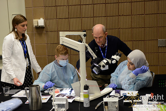 AAE 2017 Press_DSC8869.JPG