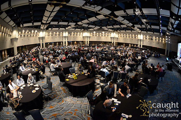 AAE 2017 Press_DSC1155.JPG