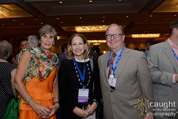 AAE 2017 Press_DSC9271.JPG